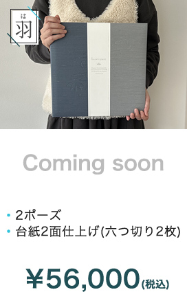羽プラン